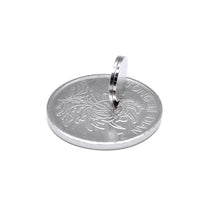 Load image into Gallery viewer, 10 x 1mm Neodymium Disc Magnets - Magneticks