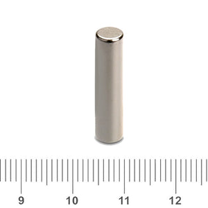 5 x 25mm Neodymium Cylinder Magnets - Magneticks